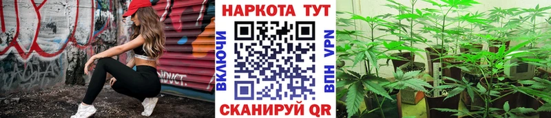 Виды наркоты Елизово СК  Конопля  Cocaine  Меф  ГАШИШ 