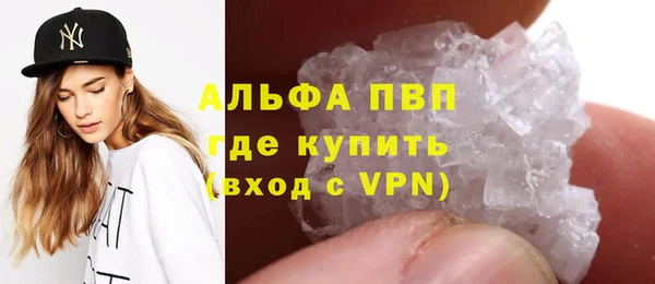 крисы Алзамай