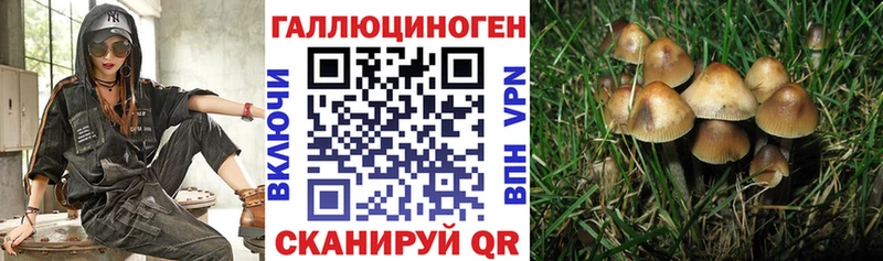 это формула что такое Елизово Псилоцибиновые грибы прущие грибы ссылка на мегу зеркало
