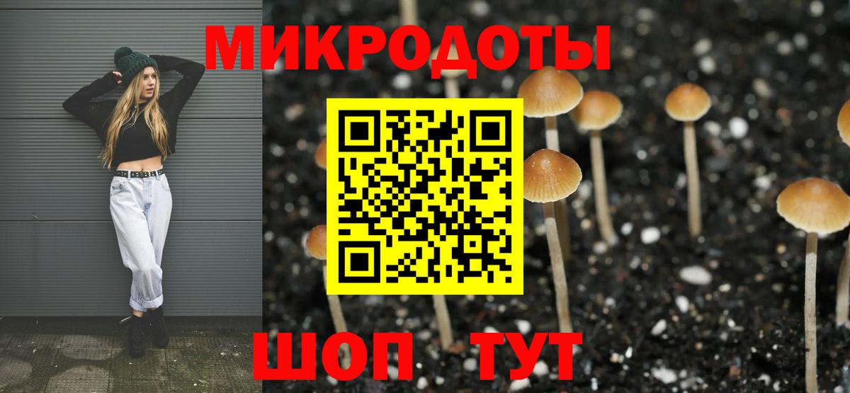Галлюциногенные грибы Psilocybe  Вход с VPN  Елизово  Псилоцибиновые грибы Cubensis 